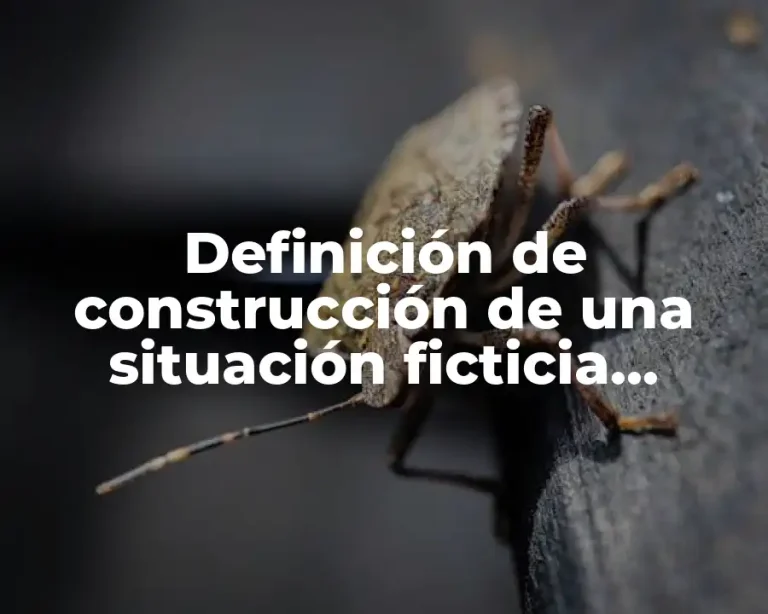 Definición de construcción de una situación ficticia derecho