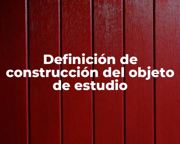 Definición de construcción del objeto de estudio