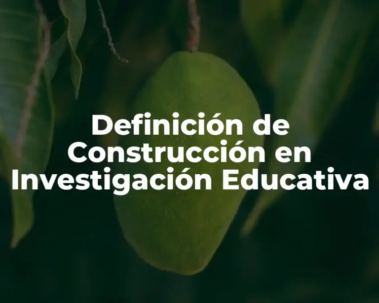 Definición de Construcción en Investigación Educativa