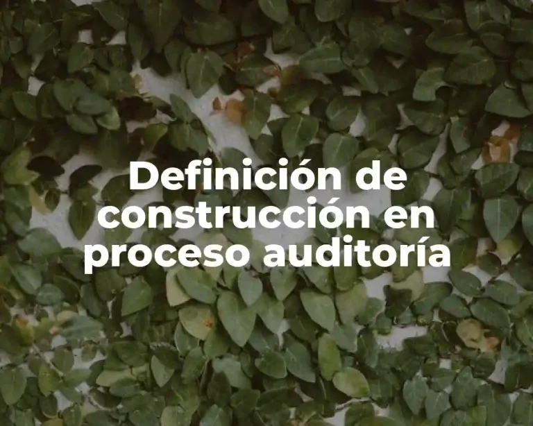 Definición de construcción en proceso auditoría