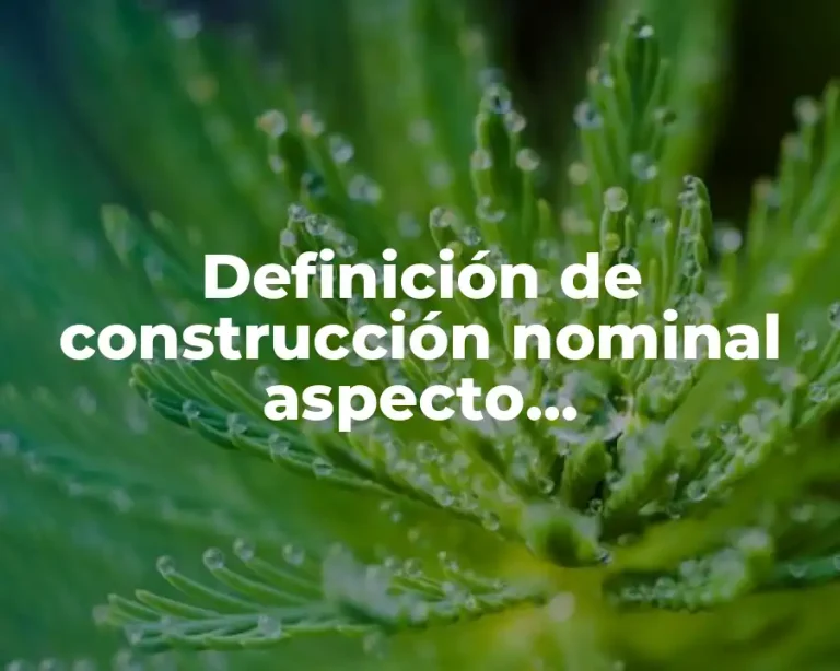 Definición de construcción nominal aspecto morfosintáctico sustantivo