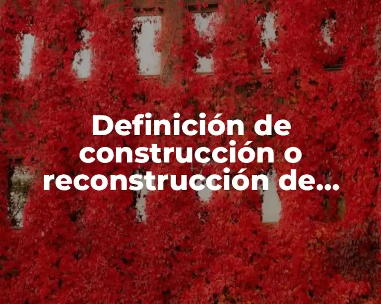 Definición de construcción o reconstrucción de textos