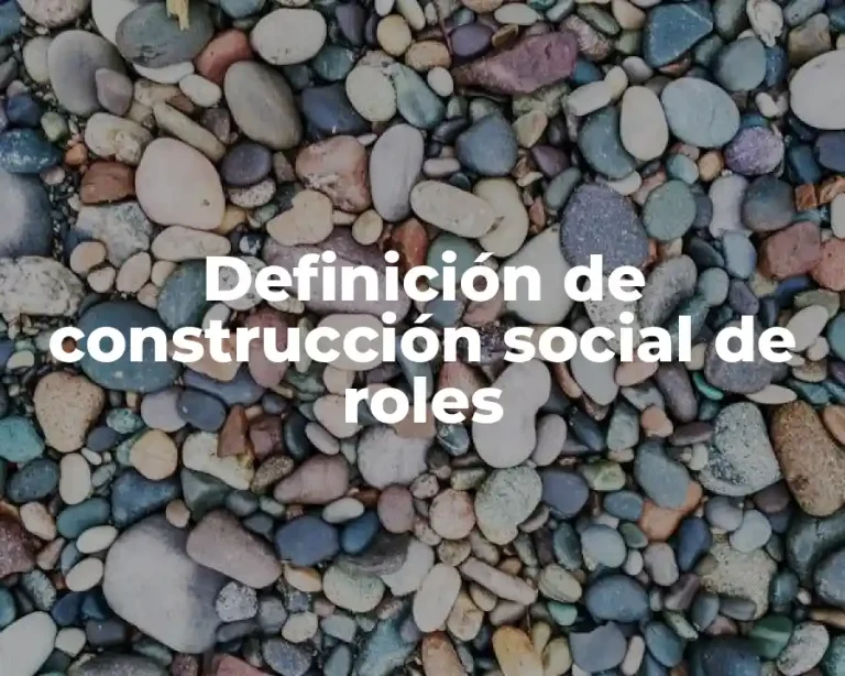 Definición de construcción social de roles