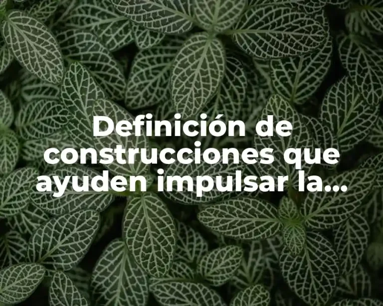 Definición de construcciones que ayuden impulsar la economía