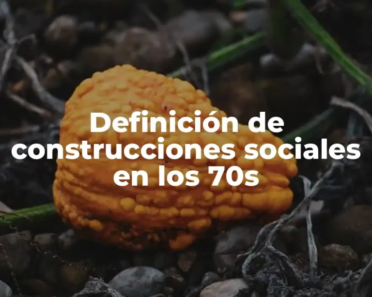 Definición de construcciones sociales en los 70s