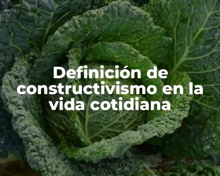 Definición de constructivismo en la vida cotidiana