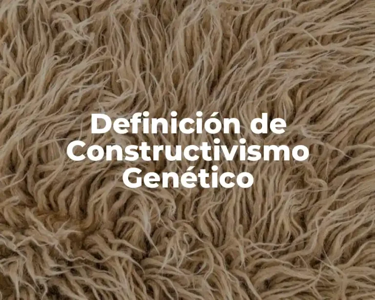 Definición de Constructivismo Genético
