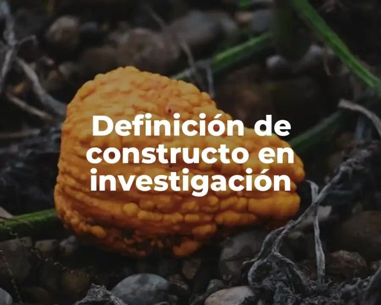 Definición de constructo en investigación