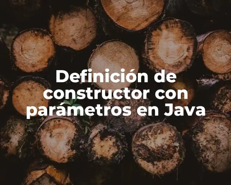 Definición de constructor con parámetros en Java