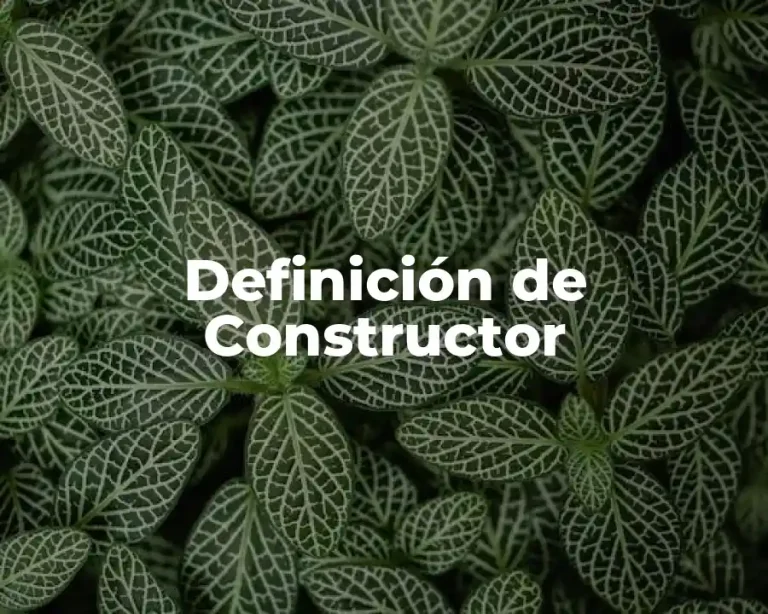 Definición de Constructor
