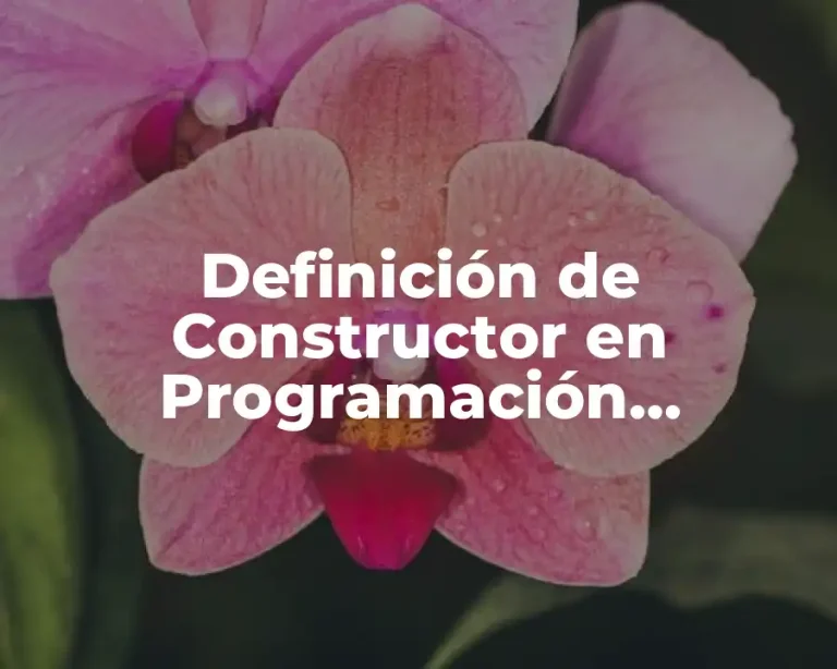 Definición de Constructor en Programación Orientada a Objetos