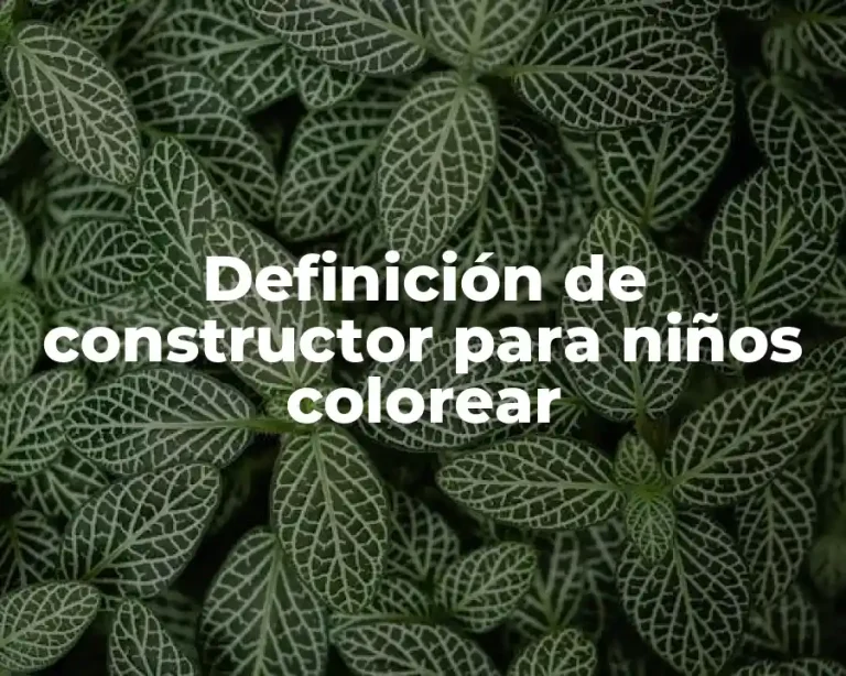 Definición de constructor para niños colorear