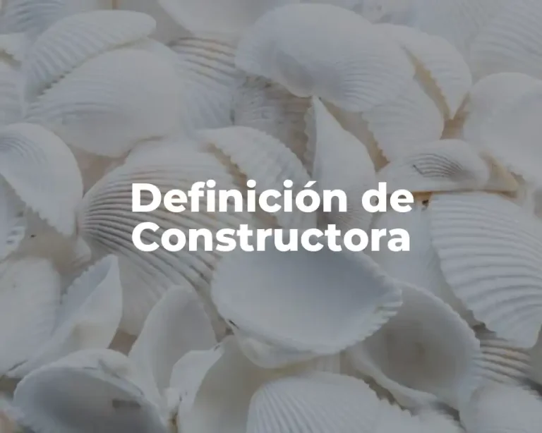 Definición de Constructora