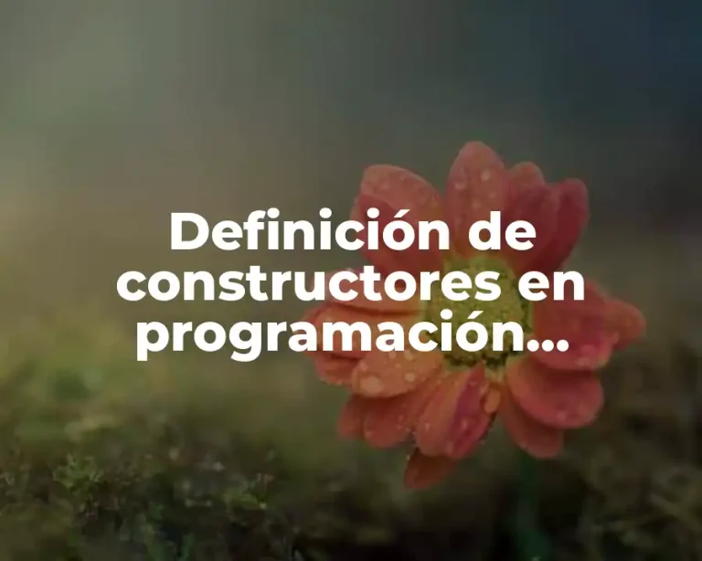 Definición de constructores en programación orientada a objetos