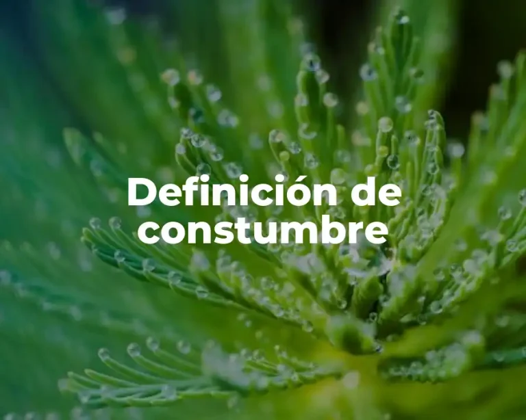 Definición de constumbre