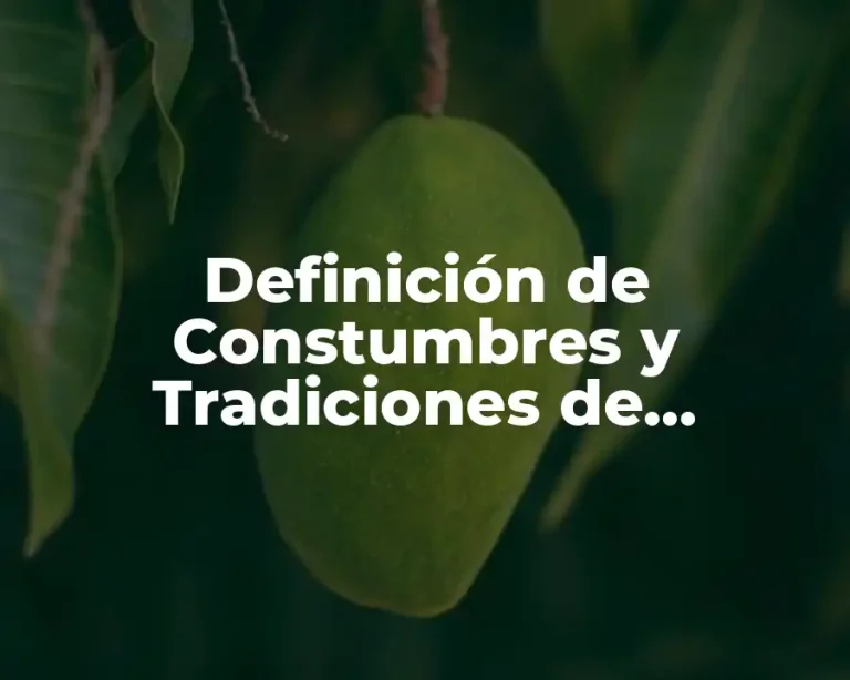 Definición de Constumbres y Tradiciones de Alacatitas
