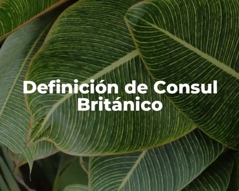 Definición de Consul Británico