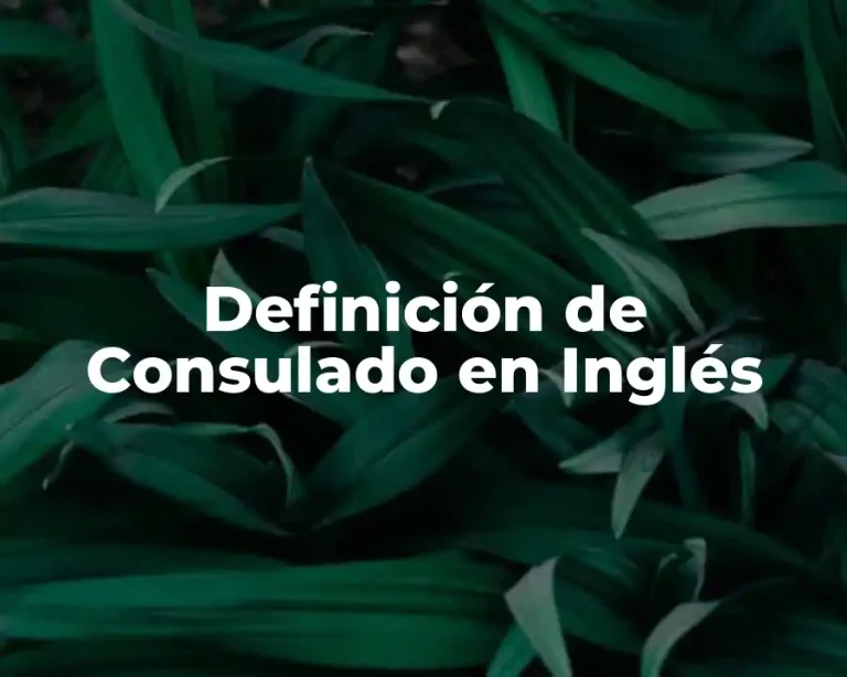 Definición de Consulado en Inglés