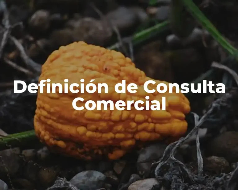 Definición de Consulta Comercial