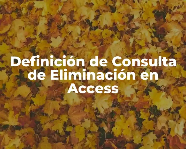 Definición de Consulta de Eliminación en Access