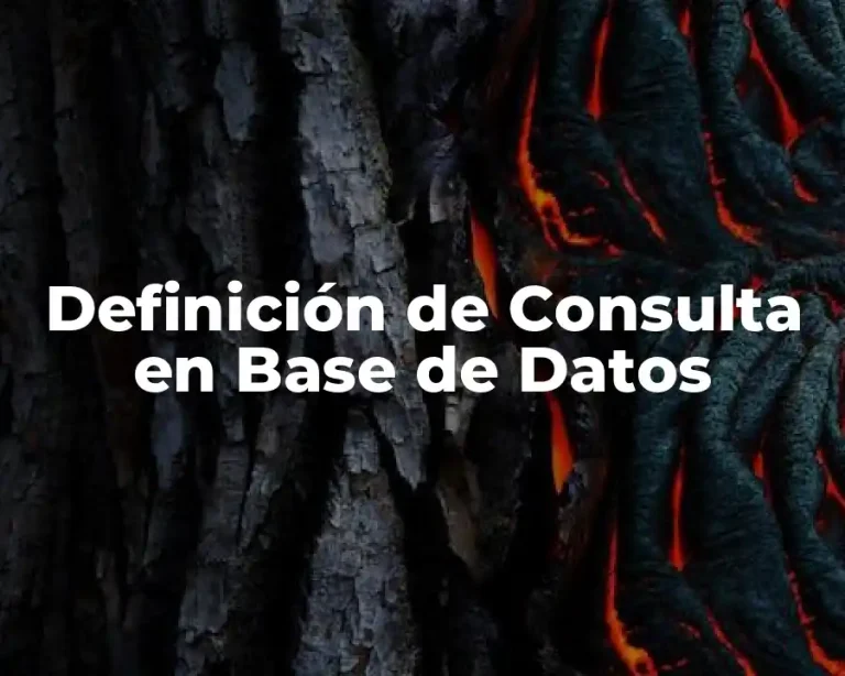 Definición de Consulta en Base de Datos