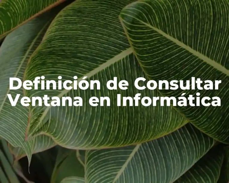 Definición de Consultar Ventana en Informática
