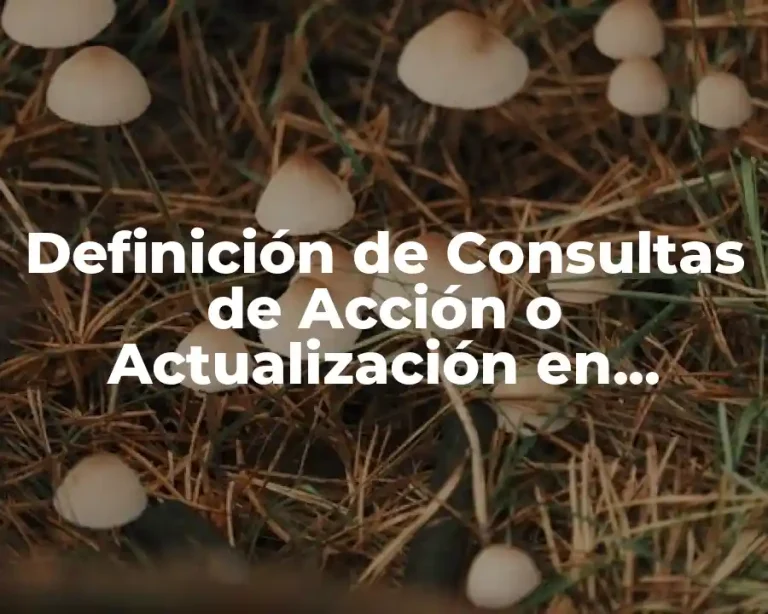 Definición de Consultas de Acción o Actualización en Informática