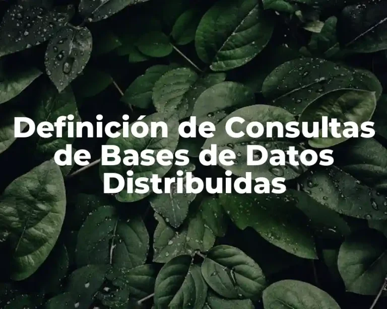 Definición de Consultas de Bases de Datos Distribuidas