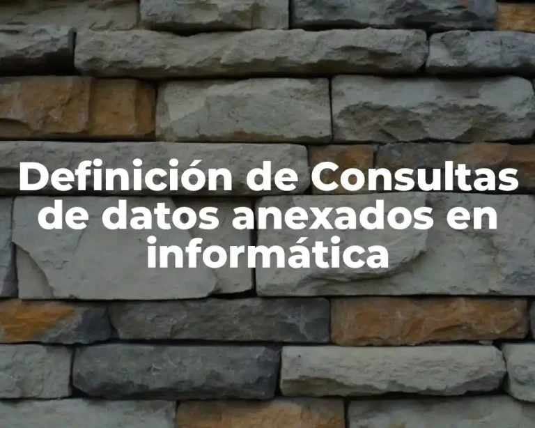 Definición de Consultas de datos anexados en informática
