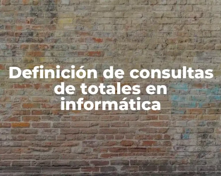Definición de consultas de totales en informática