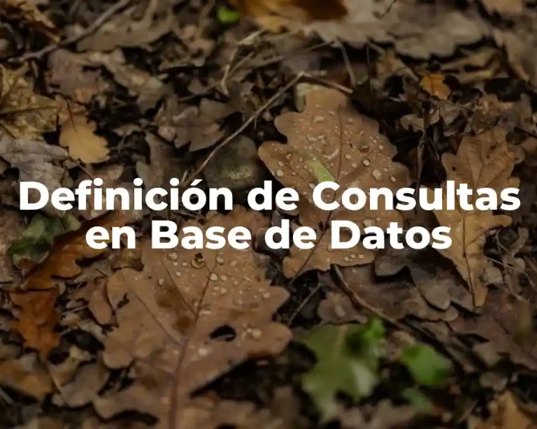 Definición de Consultas en Base de Datos