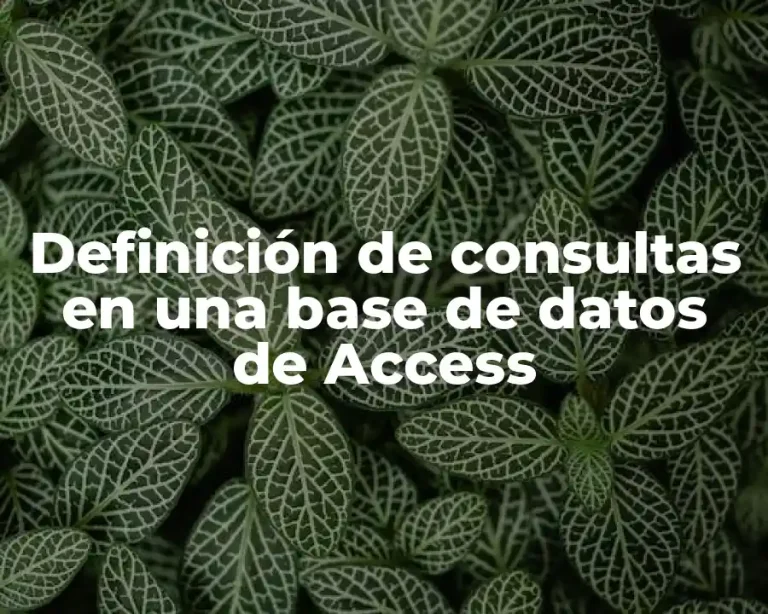 Definición de consultas en una base de datos de Access