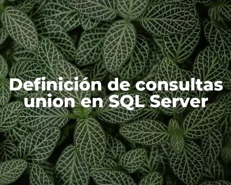 Definición de consultas union en SQL Server