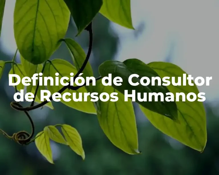 Definición de Consultor de Recursos Humanos