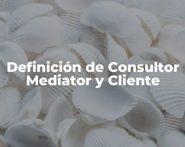 Definición de Consultor Mediator y Cliente