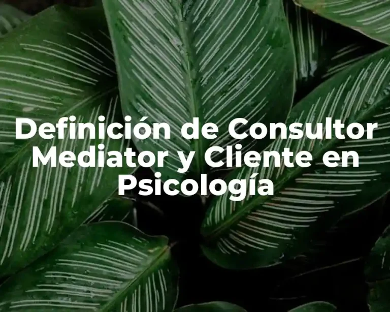 Definición de Consultor Mediator y Cliente en Psicología