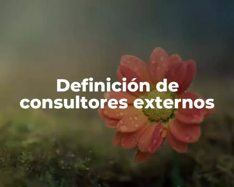 Definición de consultores externos