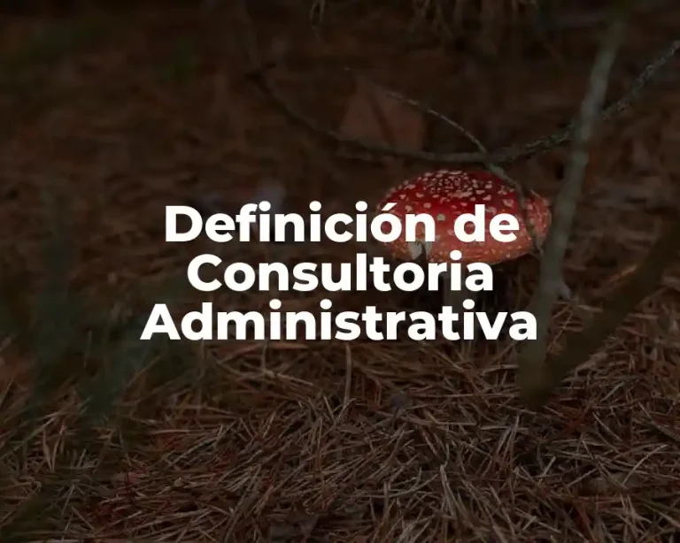 Definición de Consultoria Administrativa