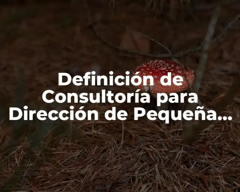 Definición de Consultoría para Dirección de Pequeña Empresa