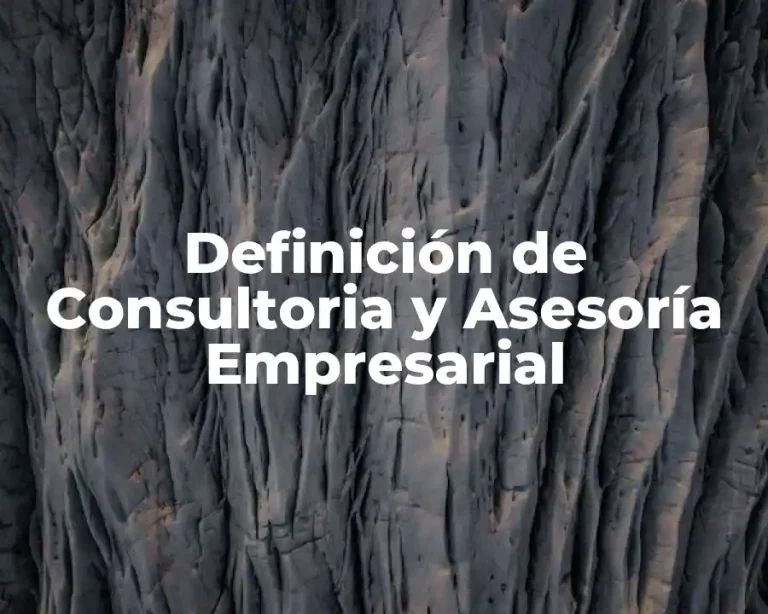 Definición de Consultoria y Asesoría Empresarial