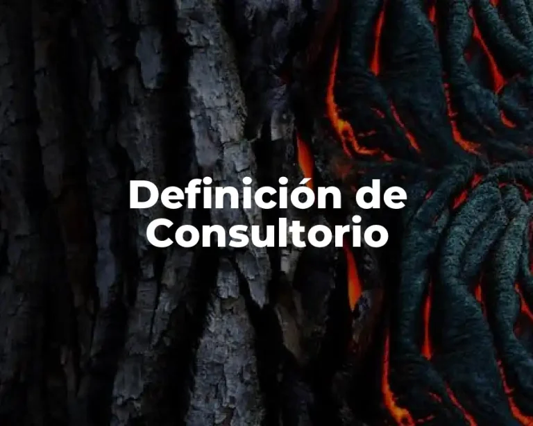 Definición de Consultorio
