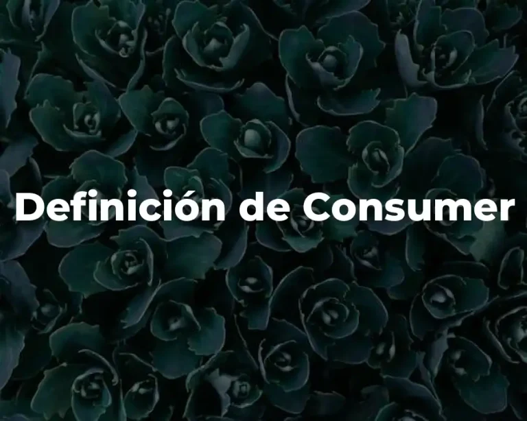 Definición de Consumer