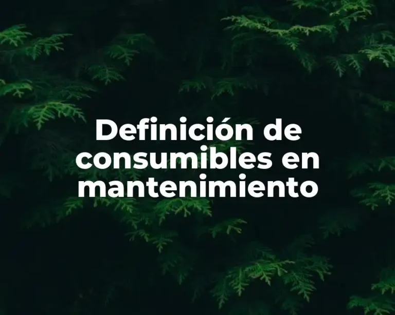 Definición de consumibles en mantenimiento