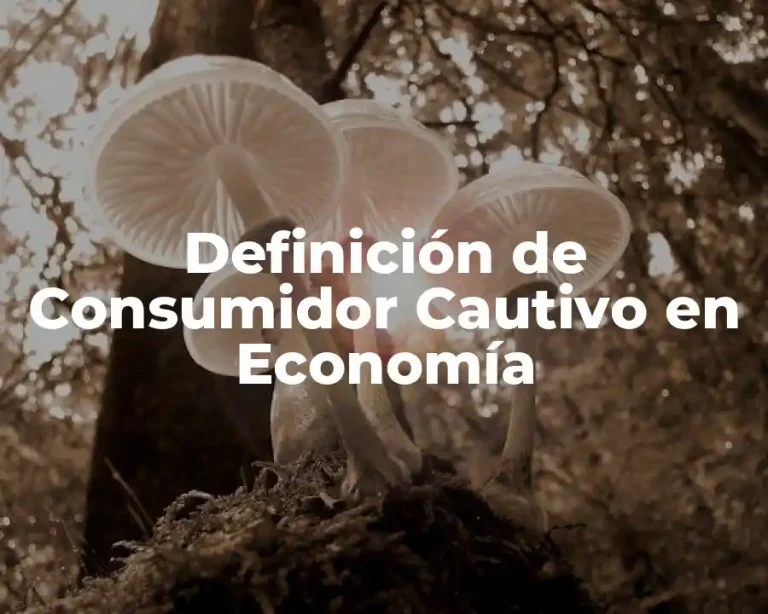 Definición de Consumidor Cautivo en Economía