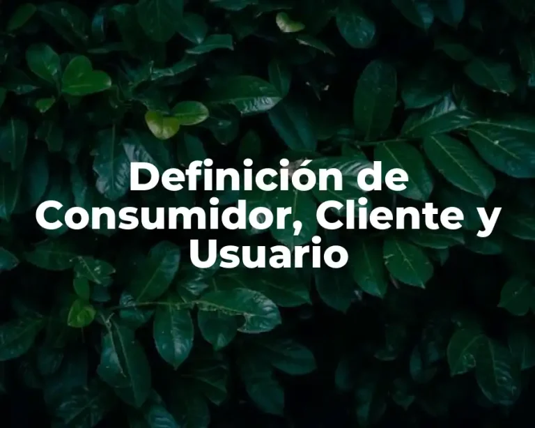 Definición de Consumidor, Cliente y Usuario