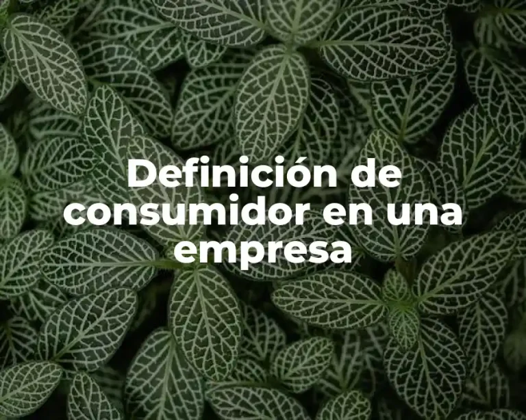 Definición de consumidor en una empresa