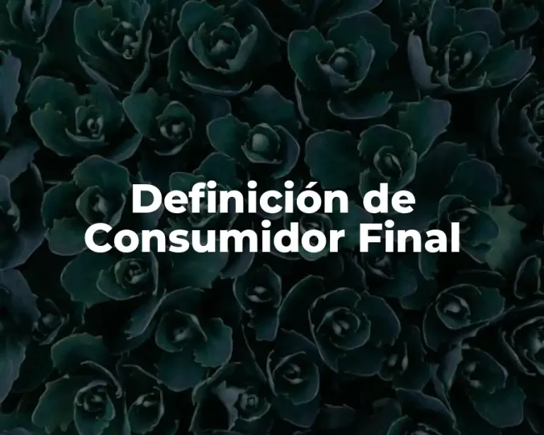 Definición de Consumidor Final