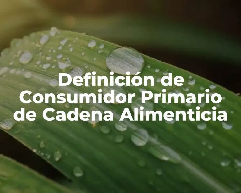 Definición de Consumidor Primario de Cadena Alimenticia