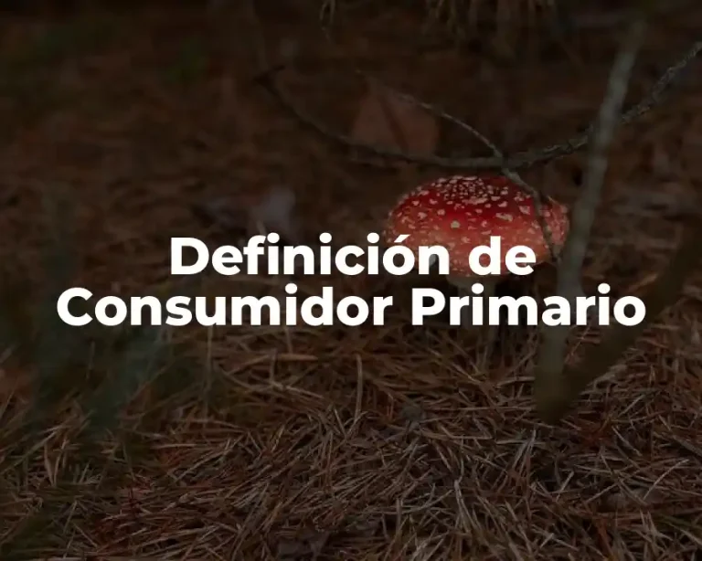 Definición de Consumidor Primario