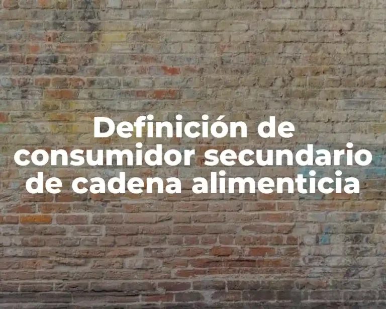 Definición de consumidor secundario de cadena alimenticia